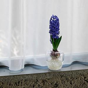 大和プラ販 VASE シングル クリアの詳細画像4