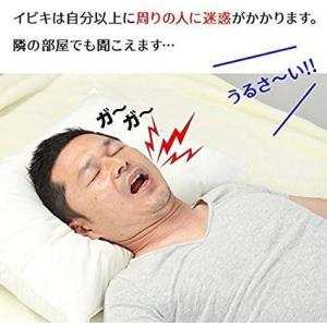 サイプラス イビピタンマスク いびき対策 消音...の詳細画像2
