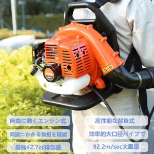 エンジンブロワー 落ち葉バキューム ブロワーバ...の詳細画像2