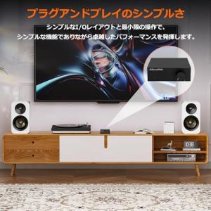 Nobound NS-06G デジタルアンプ ...の詳細画像3