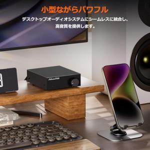 Nobound NS-06G デジタルアンプ ...の詳細画像4