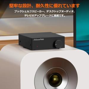 Nobound NS-06G デジタルアンプ ...の詳細画像5