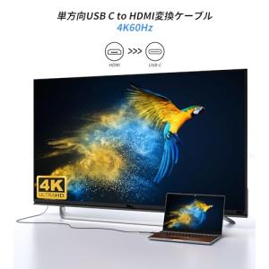 Loryi HDMI to USB-C 変換ケ...の詳細画像2