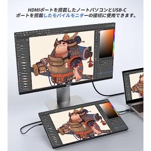 Loryi HDMI to USB-C 変換ケ...の詳細画像5