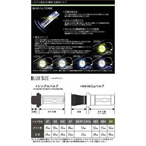 信玄 交換用 HIDバルブ H4 Hi/Lo切...の詳細画像4