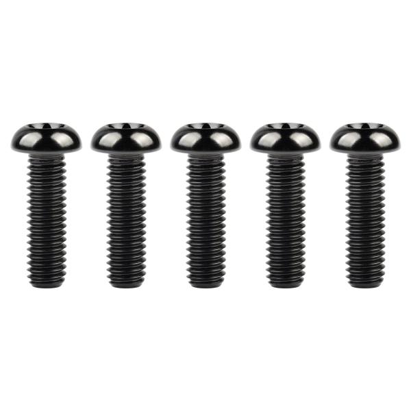 Ruifu チタンボルト M6x10 15 20 25 30 35mm T30トルクスヘッドスクリュ...