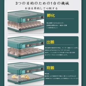 インキュベーター 最新 自動孵卵器 孵化器 自...の詳細画像1