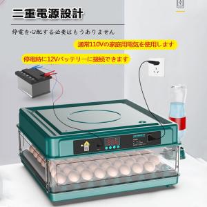 インキュベーター 最新 自動孵卵器 孵化器 自...の詳細画像5