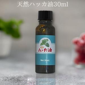 ハッカ 日本製 30ml 天然ハッカ油 (ハッカオイル) 精油 お試し 持ち運び マスク アロマオイル 薄荷 はっか ハッカ油 ハッカ オイル 30ml