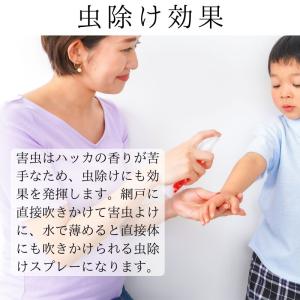 ハッカ 日本製 30ml 天然ハッカ油 (ハッ...の詳細画像2