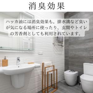 ハッカ 日本製 30ml 天然ハッカ油 (ハッ...の詳細画像3