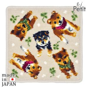 日本製ハンカチ タオル 柴犬 シバ犬 プレゼント 女性
