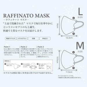 【冷感】弓型 バイカラー不織布 3D立体マスク...の詳細画像1