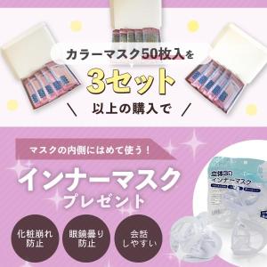 マスク 不織布 カラー 16.5cm 17.5...の詳細画像5
