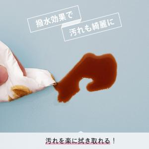 デスクマット ランチョンマット マウスパッド ...の詳細画像3