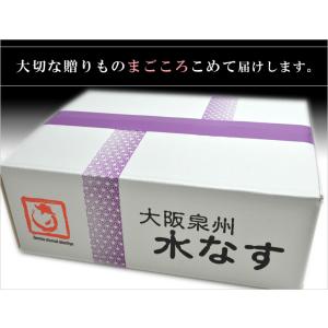 【自宅用】水なすぬか漬け8個入の詳細画像2