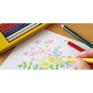 トンボ鉛筆 TOMBOW 色鉛筆NQ 丸軸 缶...の詳細画像1