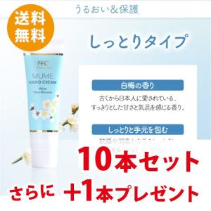 FFCハンドクリーム MUME しっとりタイプ（ブルー）｜そ他10-MU : 赤塚