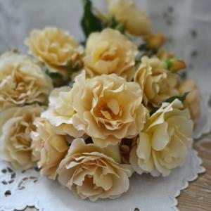 芍薬 シャクヤク 7号 ホワイトピーチ｜草花10-TU : 赤塚植物園ヤフー店
