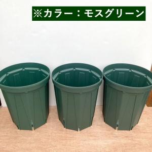 兼弥産業　ロングスリット鉢　モスグリーン　CSM-240L グリーン 60個入り Amazon | 兼弥産業 スリット鉢 CSM-240 モスグリーン | 鉢