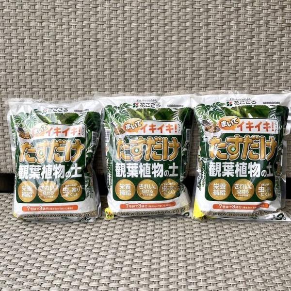 たすだけ観葉植物の土 3L 3袋セット（植物との同梱不可）｜用土04-TU