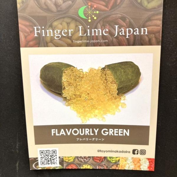 こるふぁーむ フィンガーライム 5号 フレバリーグリーン（代引き不可）｜柑橘｜果樹10-TU