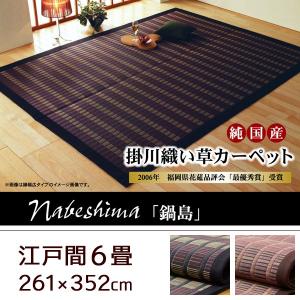 い草ラグ おしゃれ 掛川織 ござ 国産 江戸間6畳 261 352cm Inmont It
