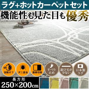 ホットカーペット ラグ カーペット 正規店 洗える おしゃれ カバー 250 0cm 3畳 2点セット