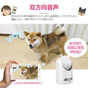 防犯カメラ 家庭用 見守りカメラ ワイヤレス ...の詳細画像2
