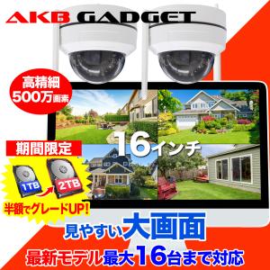 NS-010W らくらくeye cam light増設ワイヤレスカメラ : NSKダイレクト