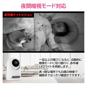 見守りカメラ ペットカメラ 防犯カメラ 犬猫 ...の詳細画像5