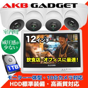 日本防犯システム (送料無料) JS-CW5041S JSS 5メガピクセル 屋外IR