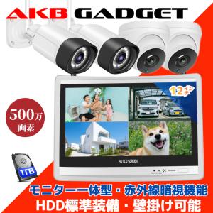 NS-010W らくらくeye cam light増設ワイヤレスカメラ : NSKダイレクト