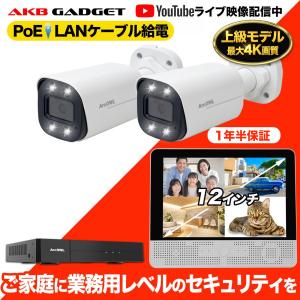 防犯カメラ 屋外 2台セット AI検知