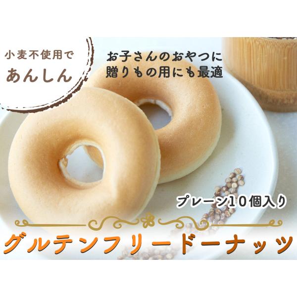 【プレーン味】グルテンフリードーナッツ 10個セット 送料無料 豆乳ドーナツ 焼きドーナツ