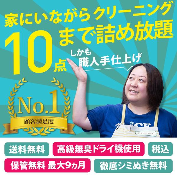 お客様感謝特価！定価20,032円より10％OFF (2,081円値引)保管付き  宅配クリーニング...