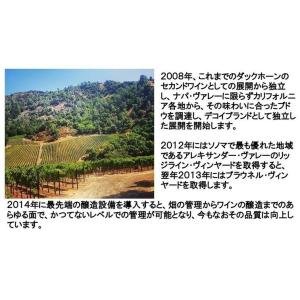ワイン 赤ワイン デコイ メルロー カリフォル...の詳細画像4