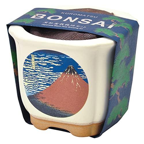 聖新陶芸 Japanese Bonsai 葛飾北斎 赤富士