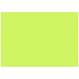 ナ-309-07 Nagatoya 全判 (788×1091mm) ラシャ紙 ロール2枚巻 きみどり 〔0400387〕の商品画像