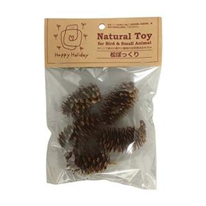 ハッピーホリデイ Natural Toy 松ぼっくり 5個入の商品画像