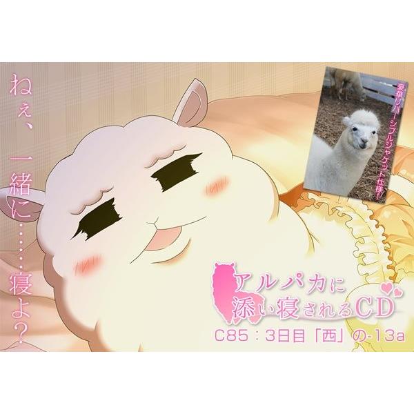 アルパカに添い寝されるCD　／　PacoProject　発売日2013−12−31 AKBH