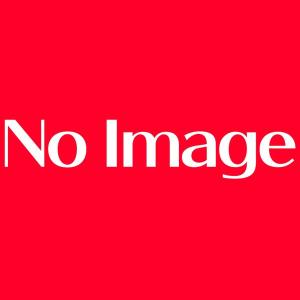 カードダス 東方Project (1BOX20パック入り) / バンダイトイ