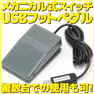 新品 ルートアール USB フットペダル フットスイッチ メカニカルスイッチ ゲームパッド入力 マウス操作対応 ケーブル長約1.7m RI-FP1MG｜akiba-e-connect