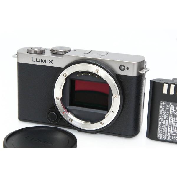 【全額返金保証】美品｜パナソニック LUMIX DC-S9-S ボディ [ダークシルバー]　CA01...