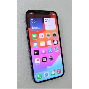 中古 Apple iPhone12 Pro 256GB パシフィックブルー MGMD3J/A SIMフリー ネットワーク利用制限△判定｜akiba-yushop