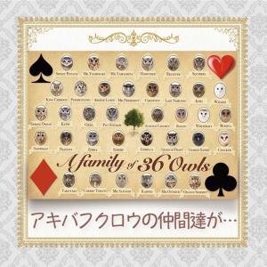 ポストカード イラスト ファイル ケース の商品一覧 文具 ステーショナリー キッチン 日用品 文具 通販 Yahoo ショッピング