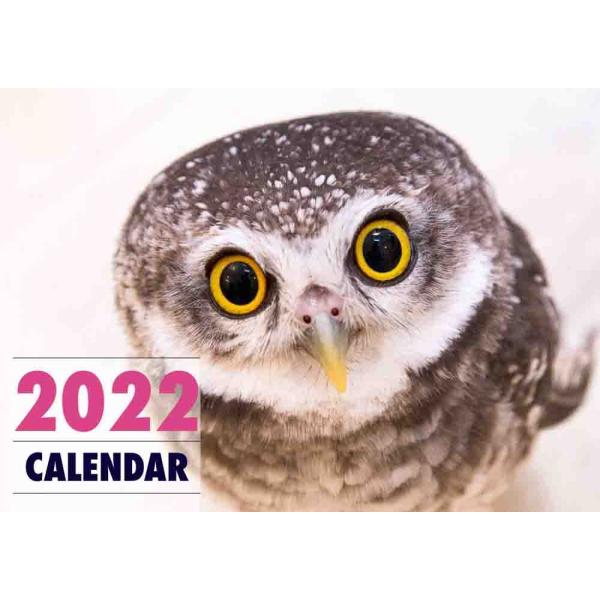 2024年1月 カレンダー 無料 かわいい