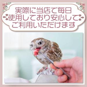冷凍 マウス 餌 エサ 20匹 アダルトマウス...の詳細画像5