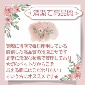 冷凍 マウス ファジーマウスL 餌 エサ フク...の詳細画像5