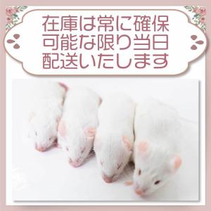 冷凍 マウス 餌 エサ 200匹 アダルトマウ...の詳細画像4